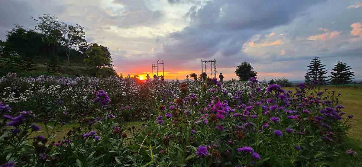 The Peak Flower Land Khao Yai