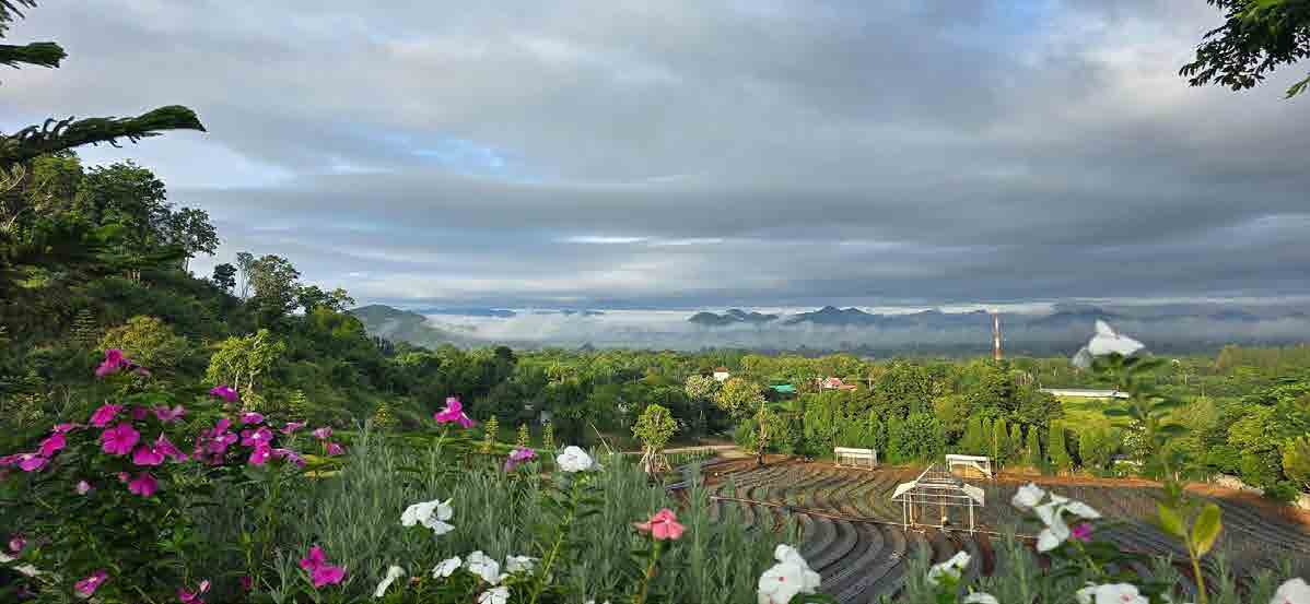 The Peak Flower Land Khao Yai