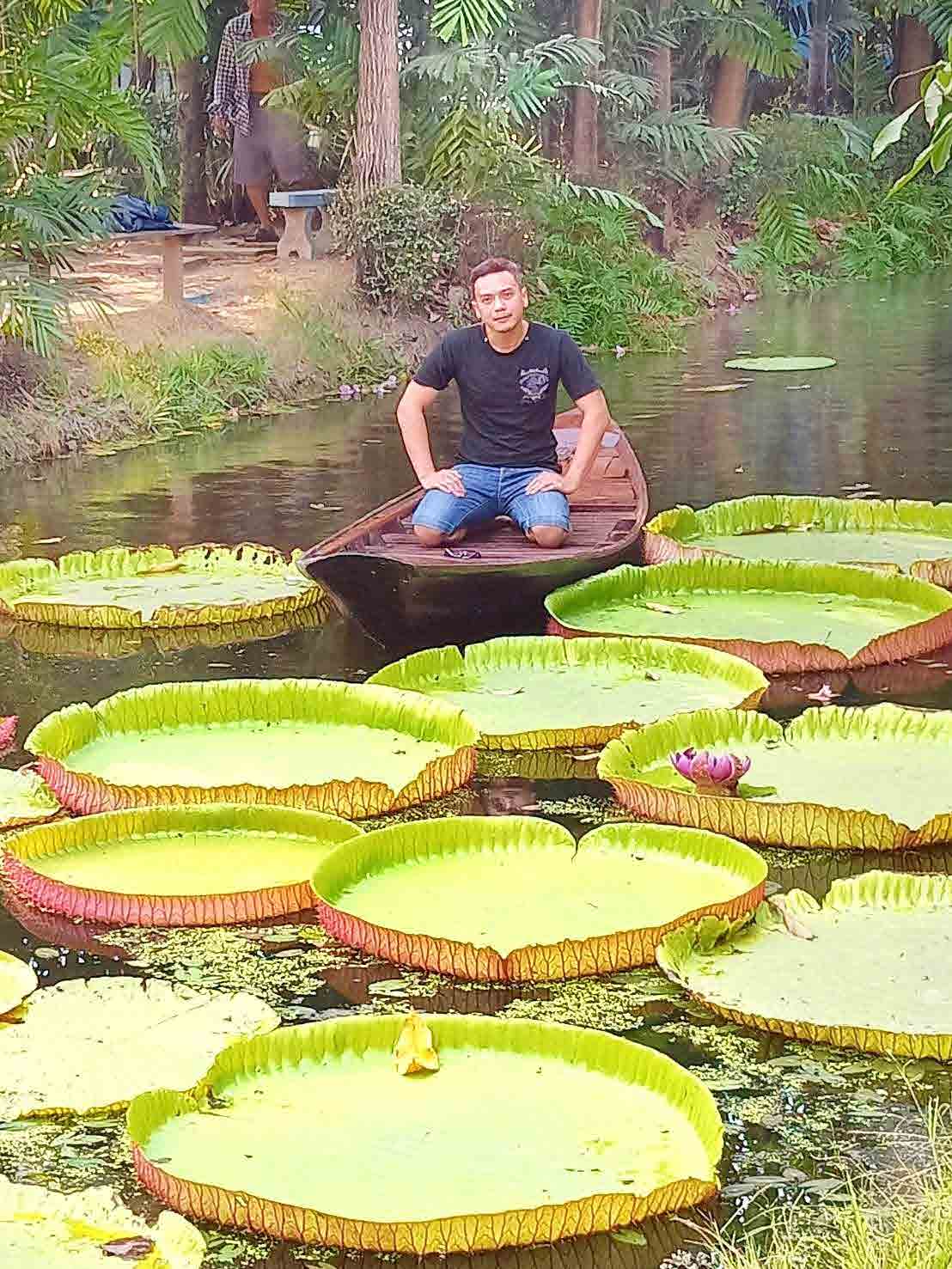 Victoria Water Lily Malai Garden