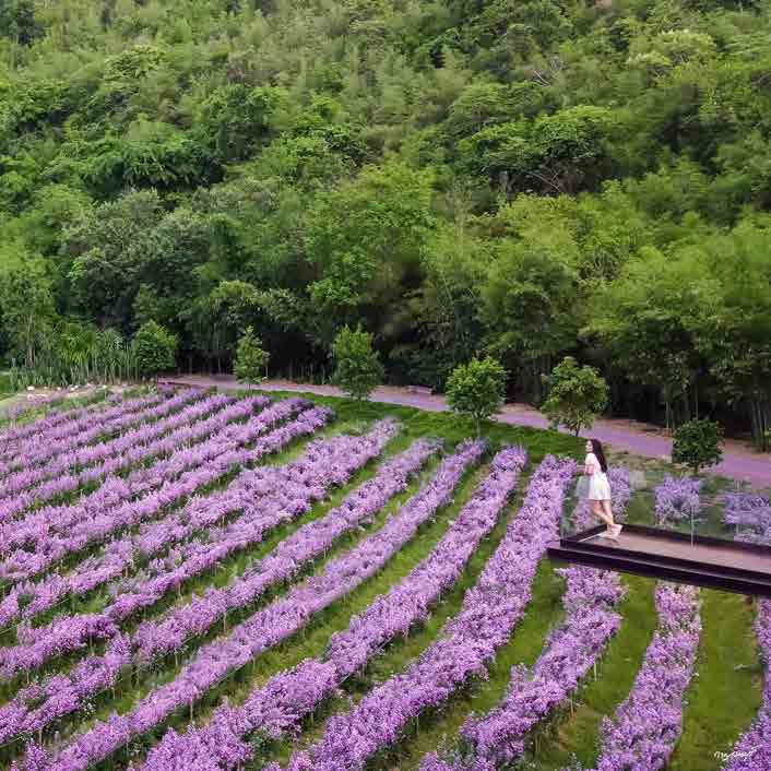 the village farm to cafe kanchnaburi