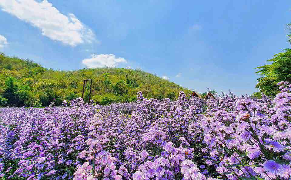 the village farm to cafe kanchnaburi
