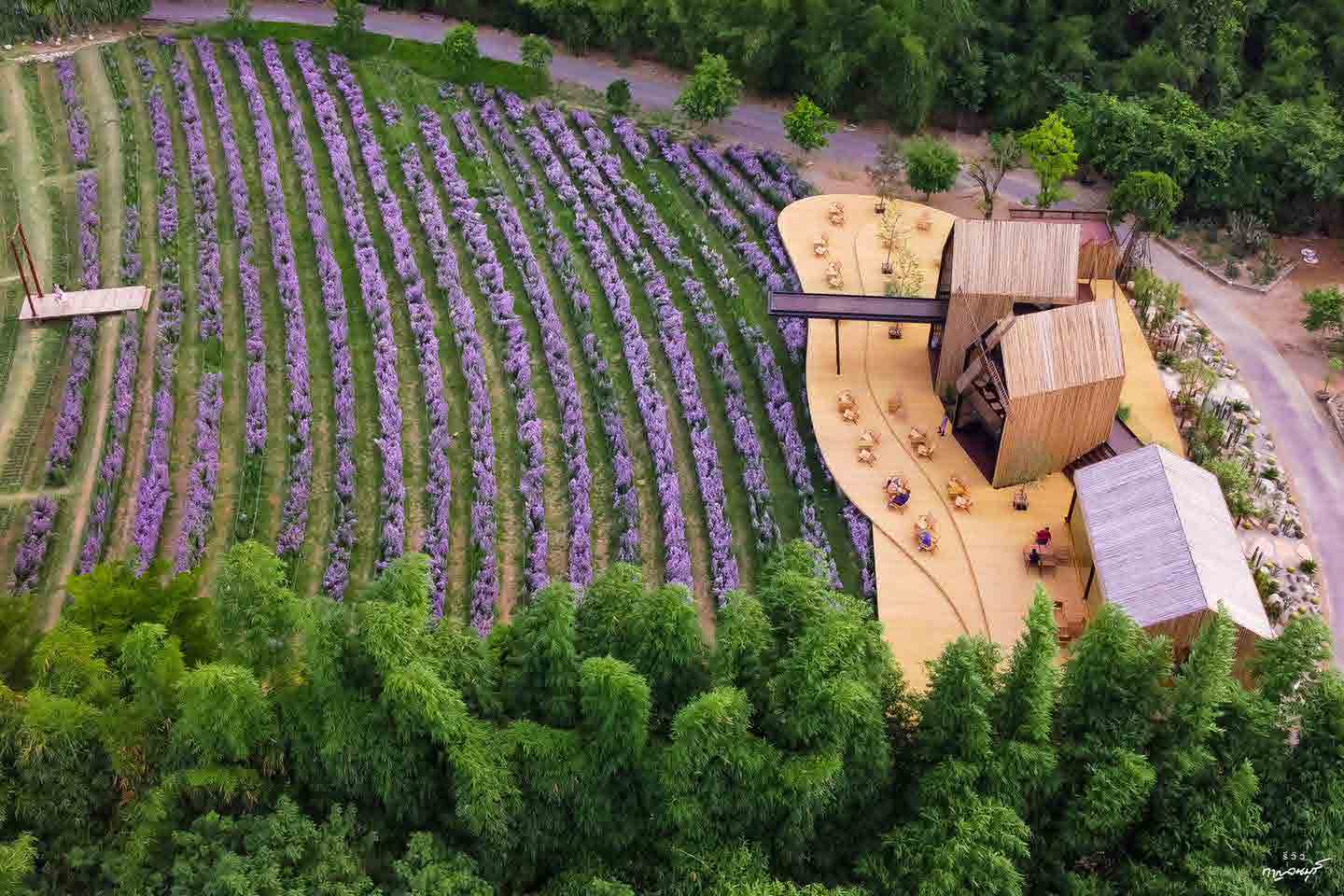 the village farm to cafe kanchnaburi