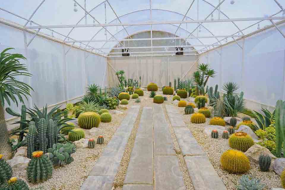 the village farm to cafe kanchnaburi