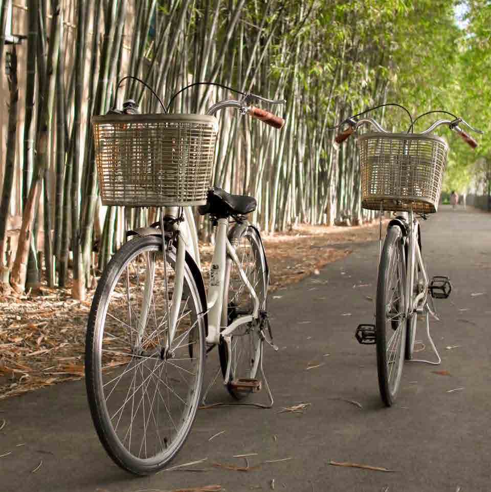 the village farm to cafe kanchnaburi
