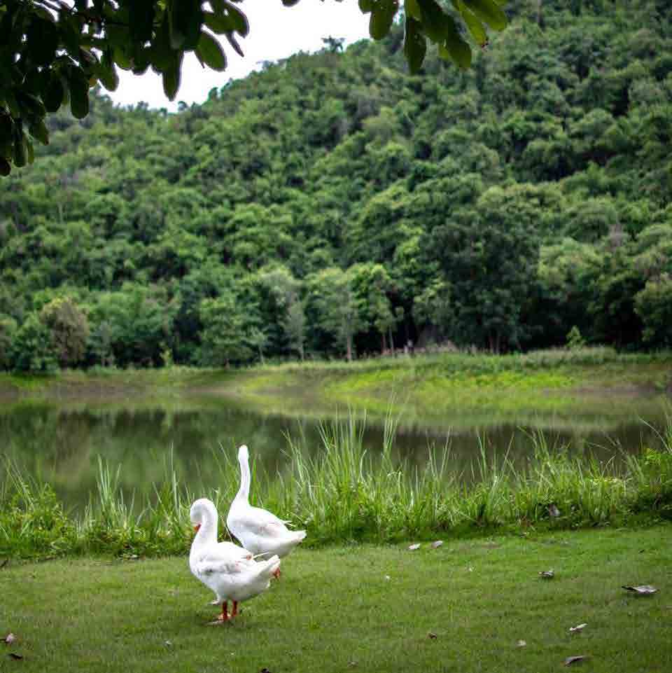 the village farm to cafe kanchnaburi