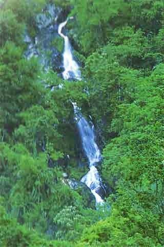 Wiang Ko Sai National Park