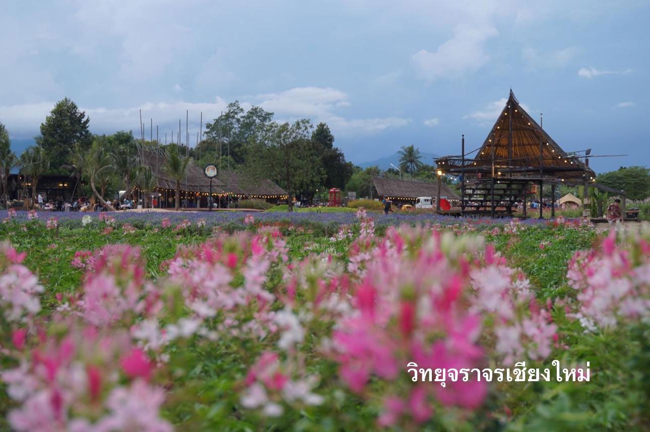 Aunt Nok Aing Flower Garden Chaing Mai