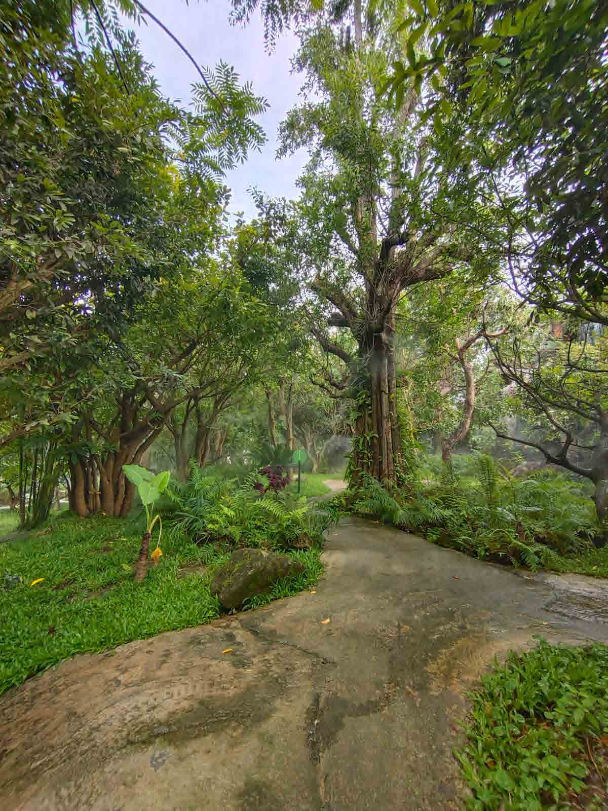 Dantewada