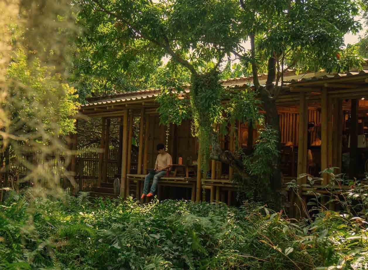 Natura Cafe