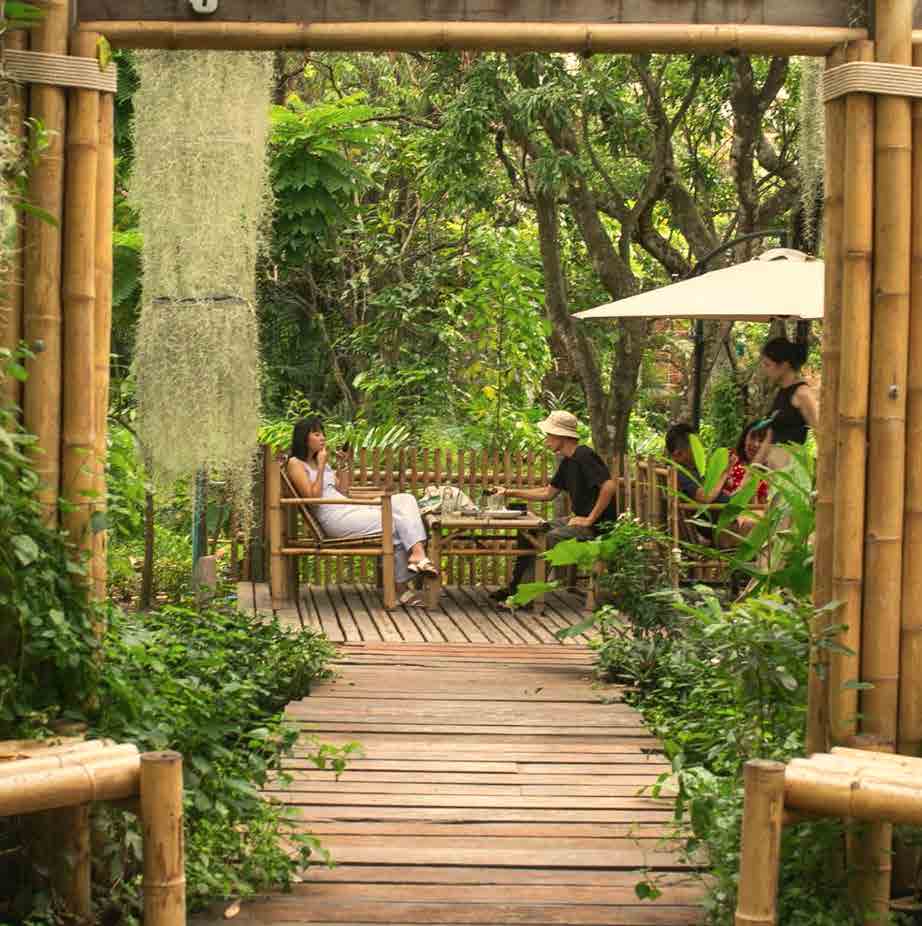 Natura Cafe