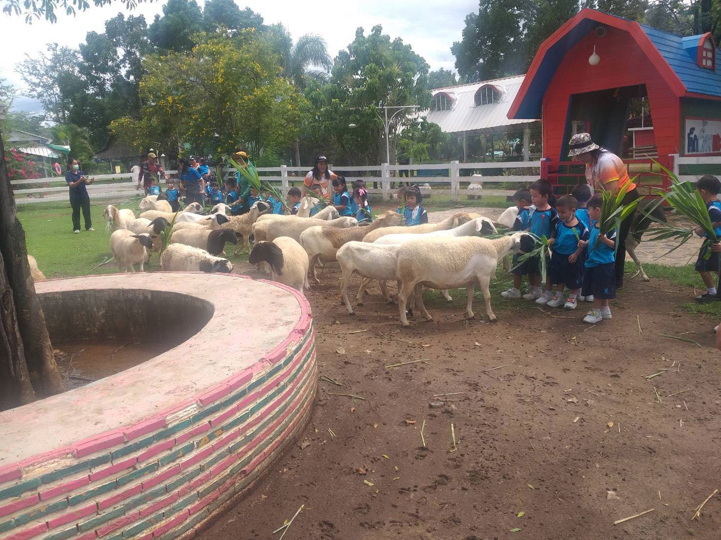 New Land Suan Phueng