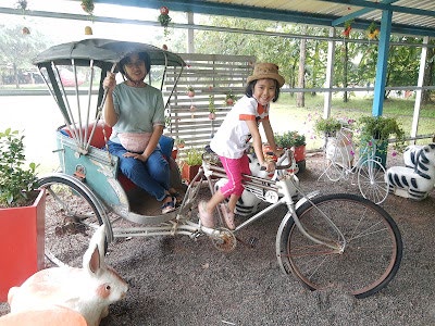 New Land Suan Phueng