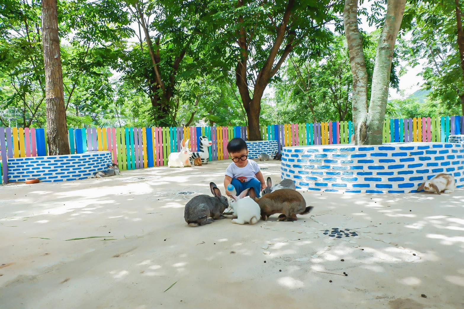 New Land Suan Phueng