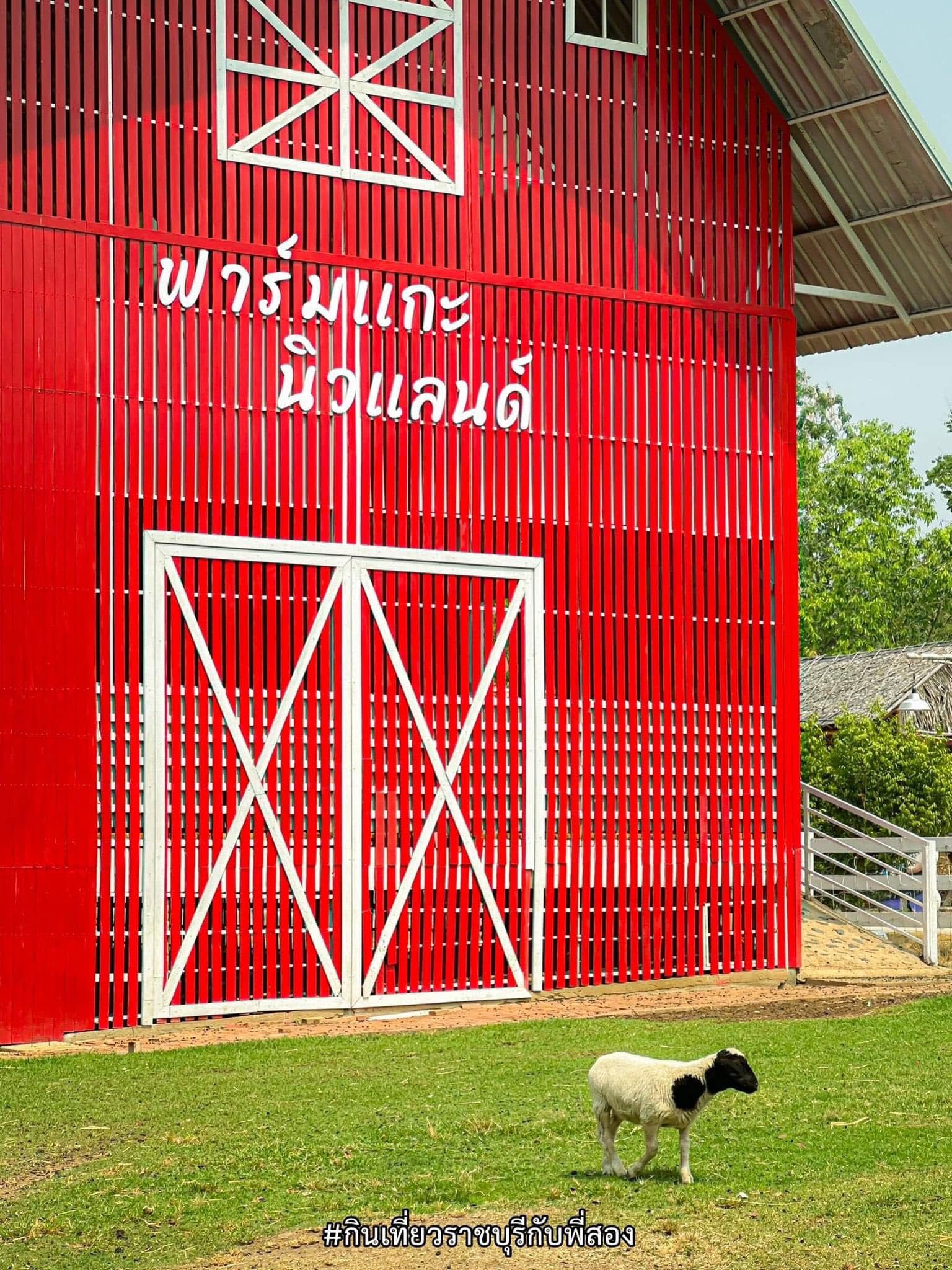 New Land Suan Phueng