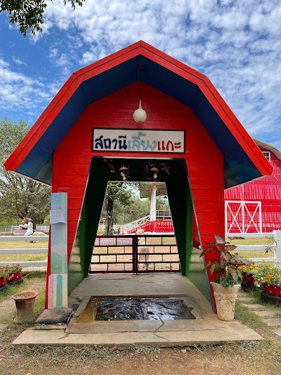 New Land Suan Phueng