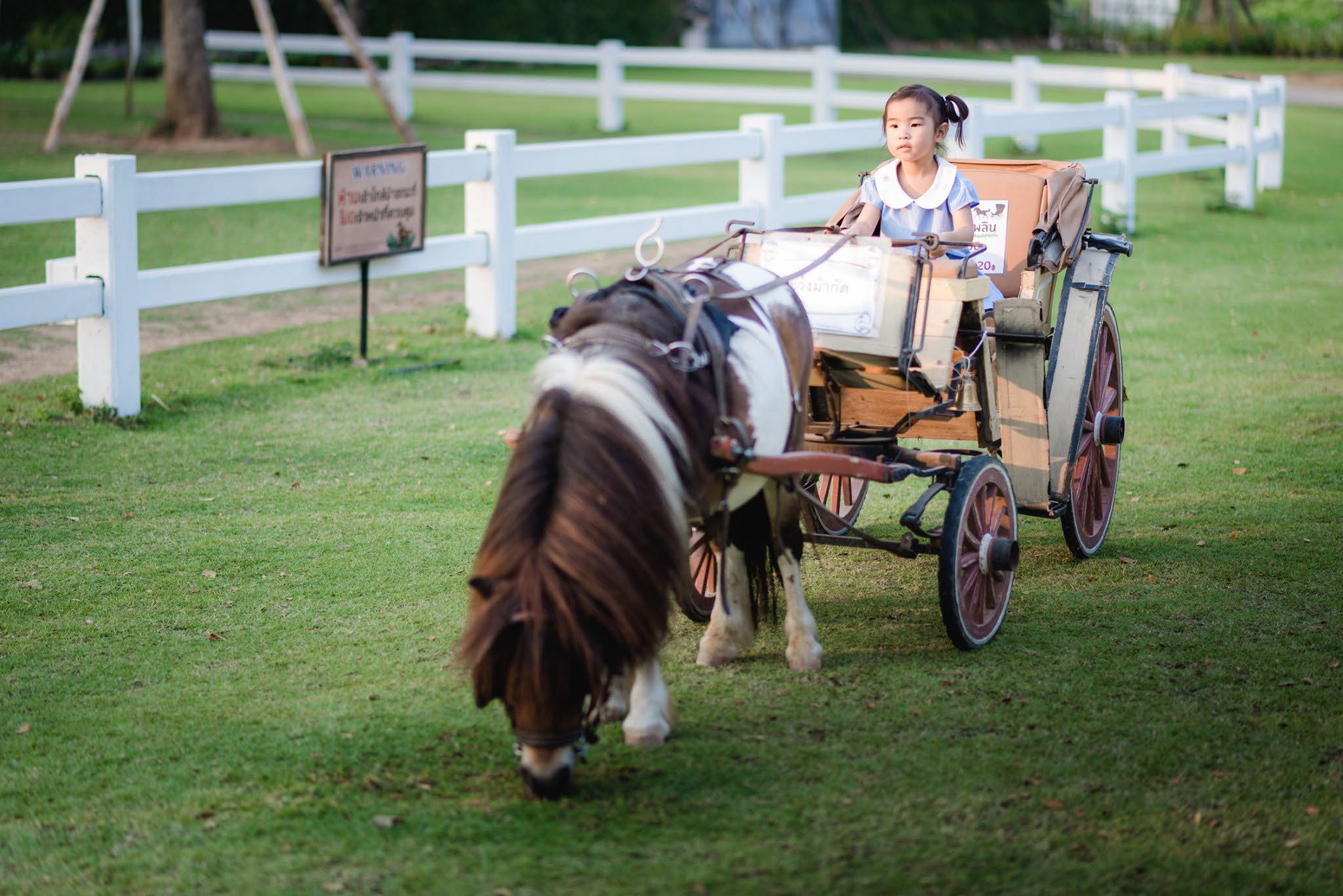 The Scenery Vintage Farm Suan Phueng