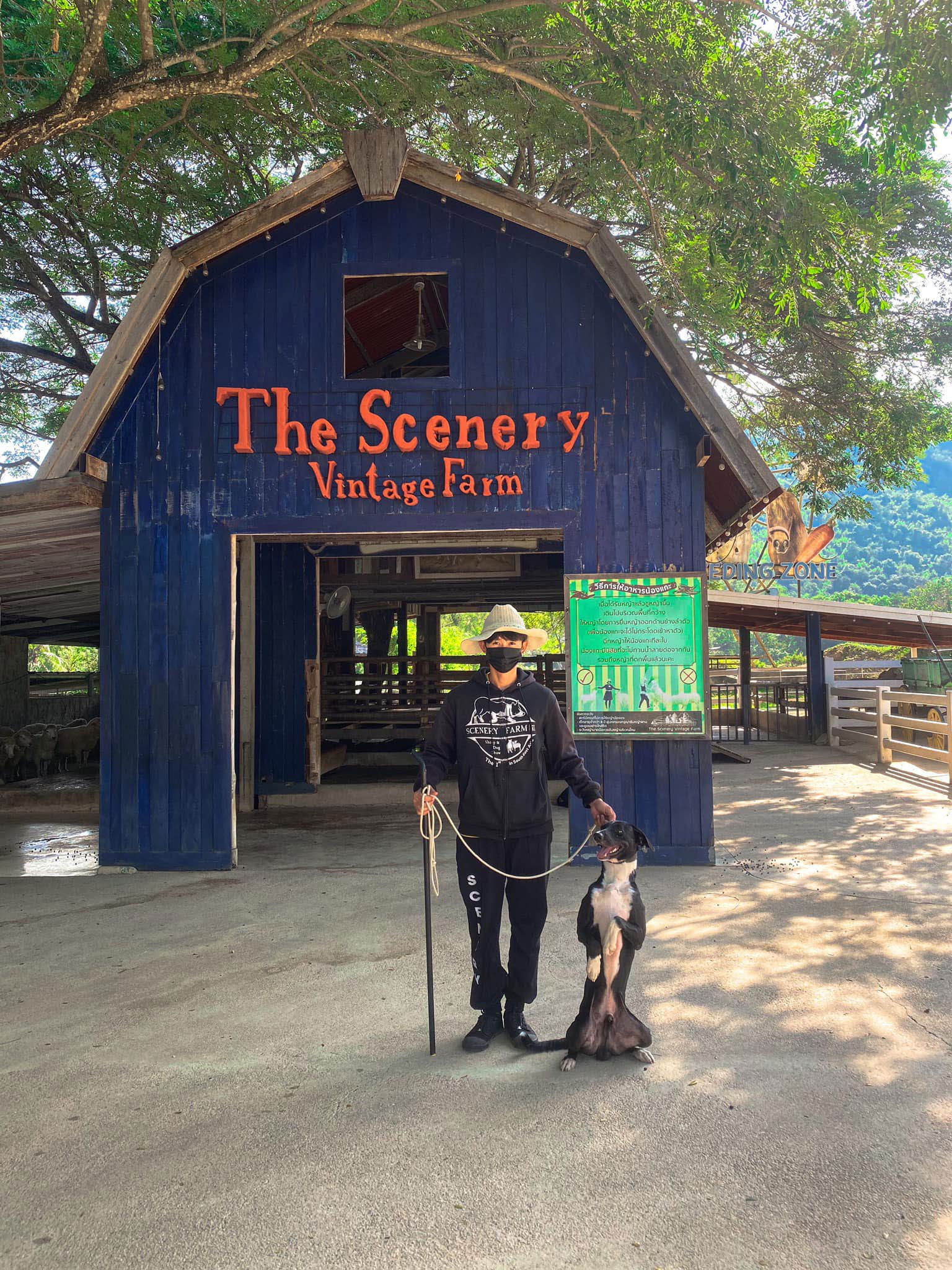 The Scenery Vintage Farm Suan Phueng