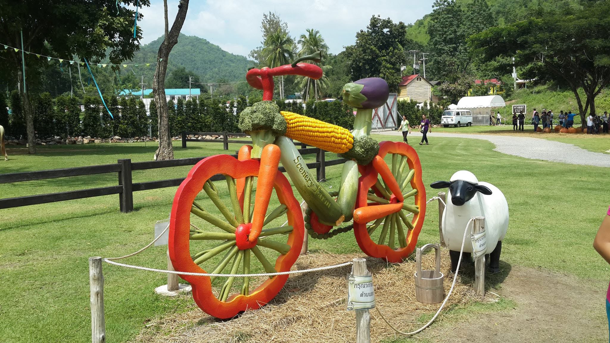 The Scenery Vintage Farm Suan Phueng