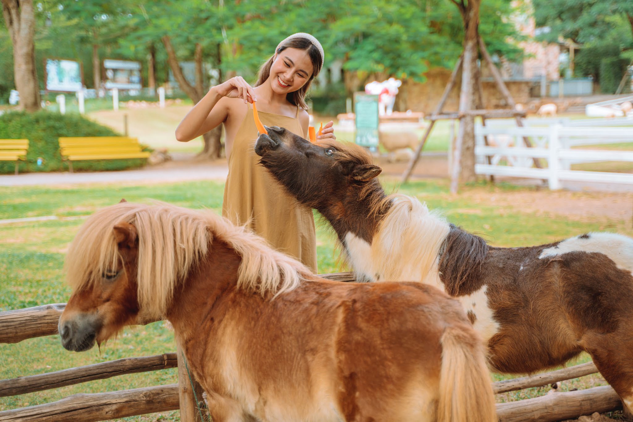 The Scenery Vintage Farm Suan Phueng