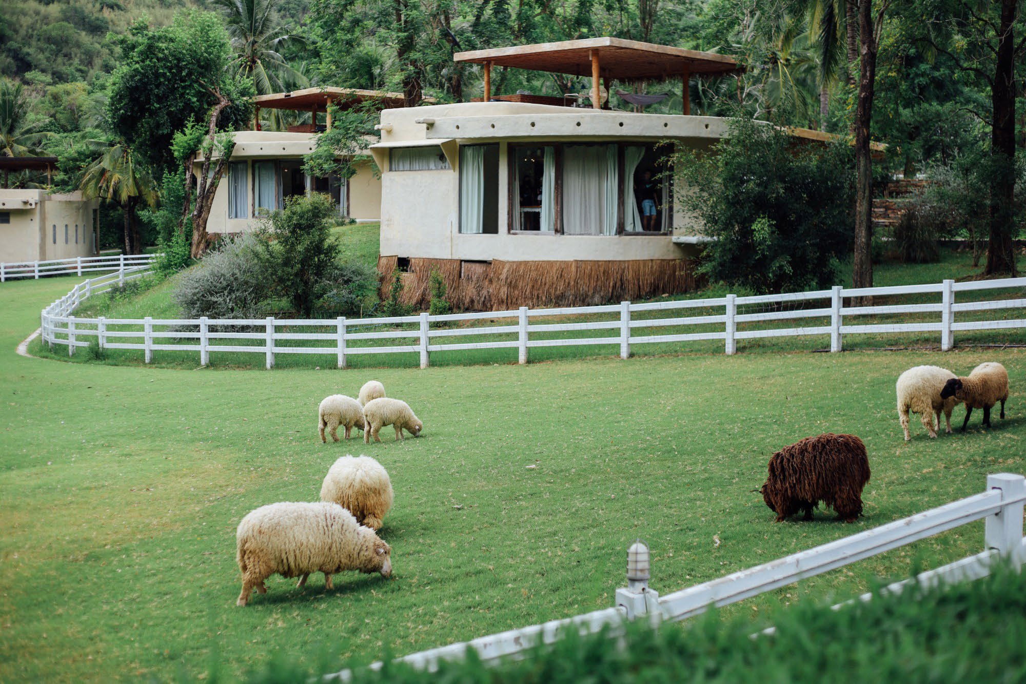 The Scenery Vintage Farm Suan Phueng