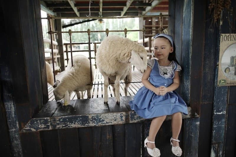 The Scenery Vintage Farm Suan Phueng