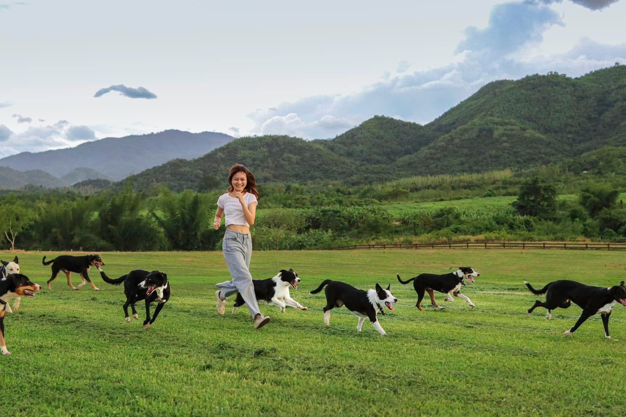 The Scenery Vintage Farm Suan Phueng