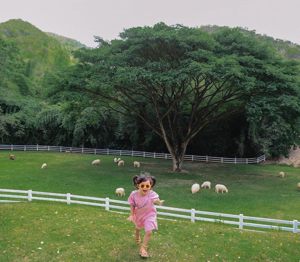 The Scenery Vintage Farm Suan Phueng