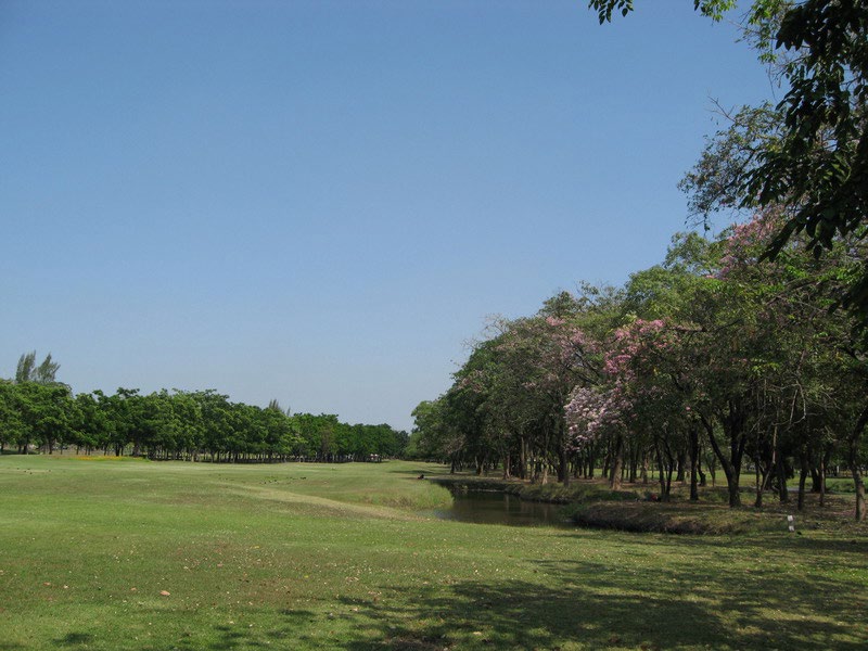 Park - - Rod fai park