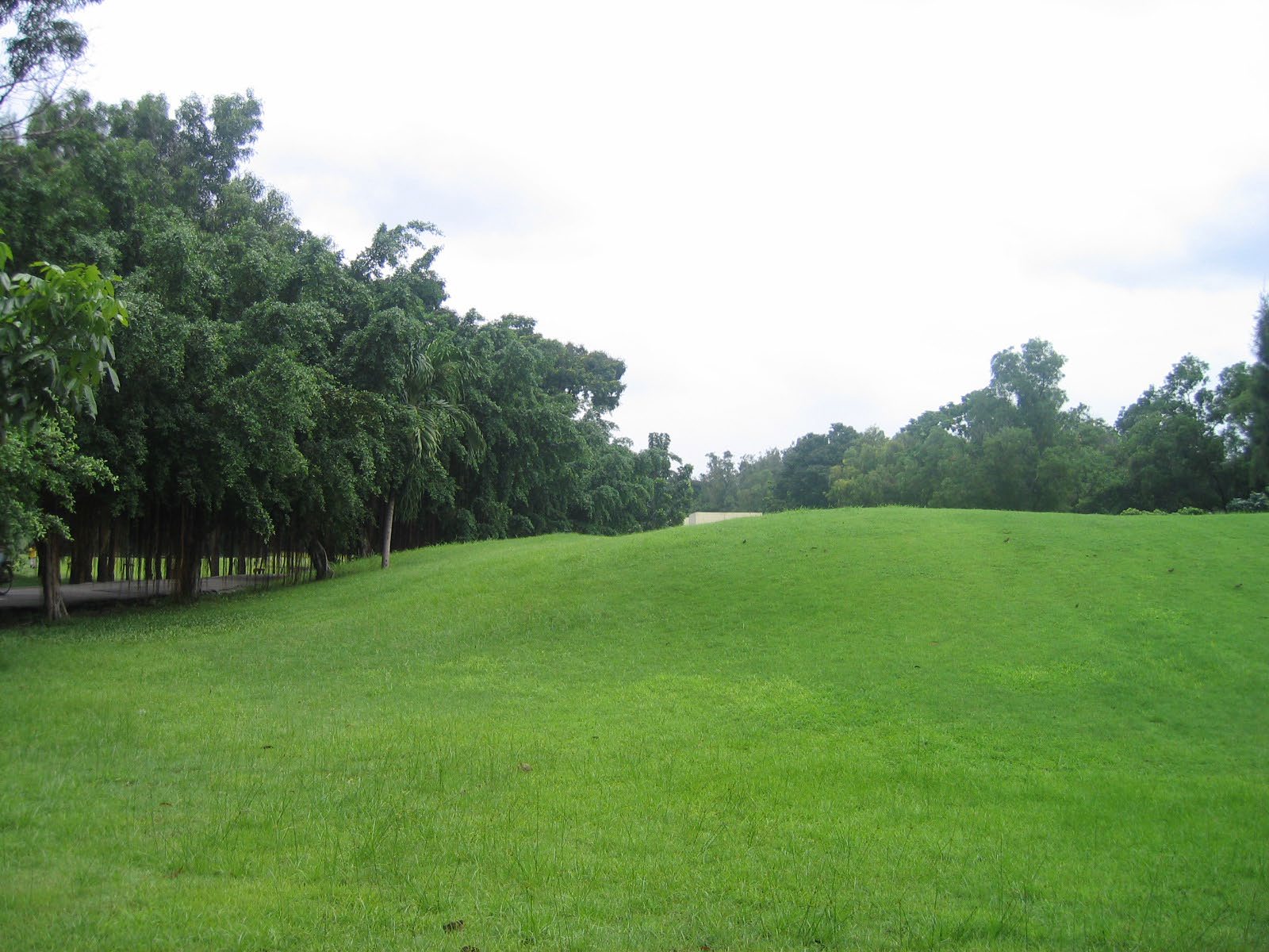 Park - - Rod fai park