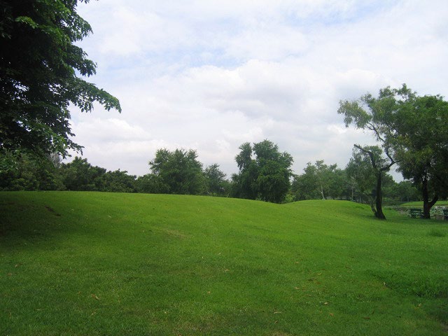 Park - - Rod fai park