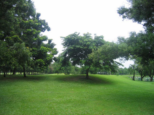 Park - - Rod fai park