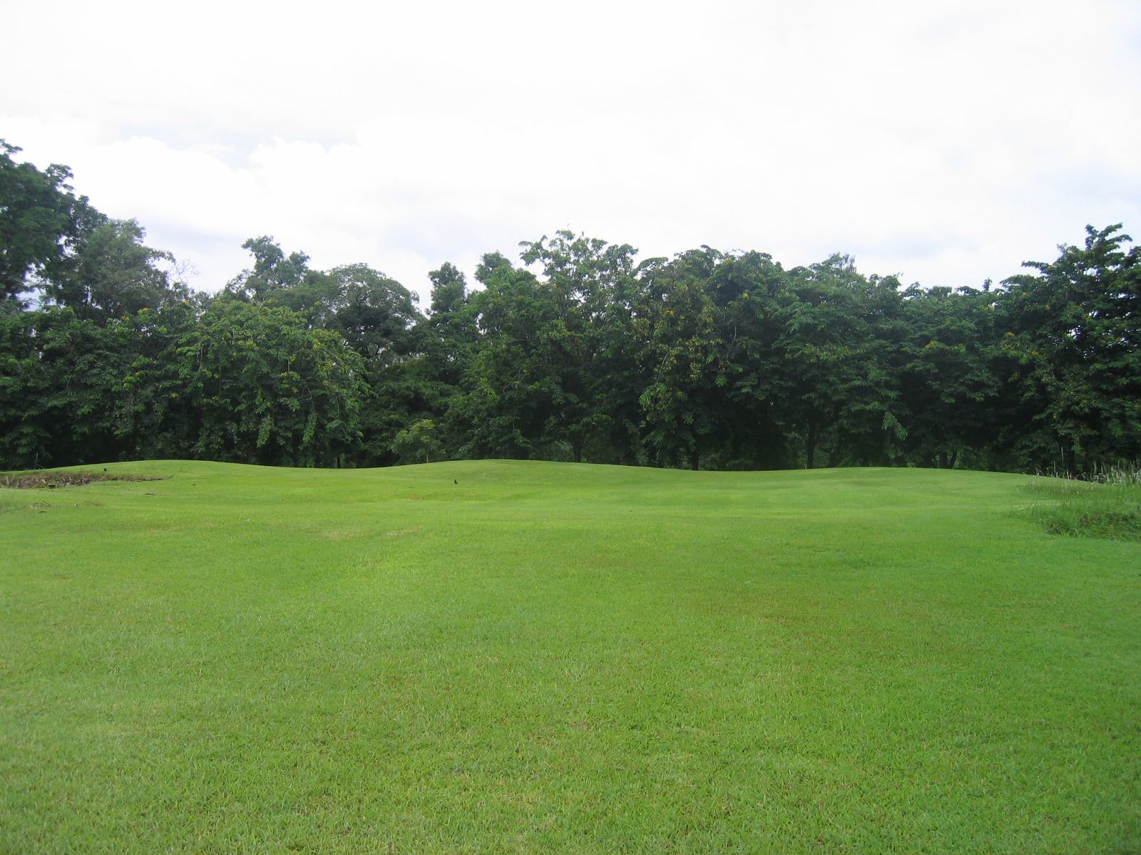 Park - - Rod fai park