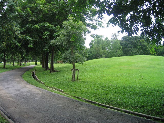 Park - - Rod fai park
