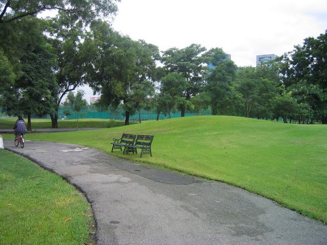 Park - - Rod fai park