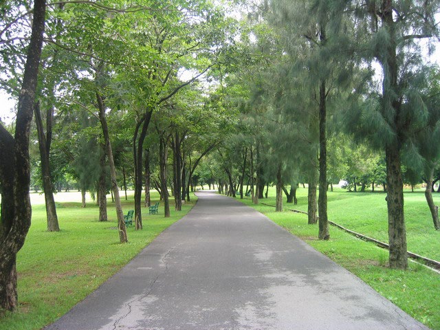 Park - - Rod fai park