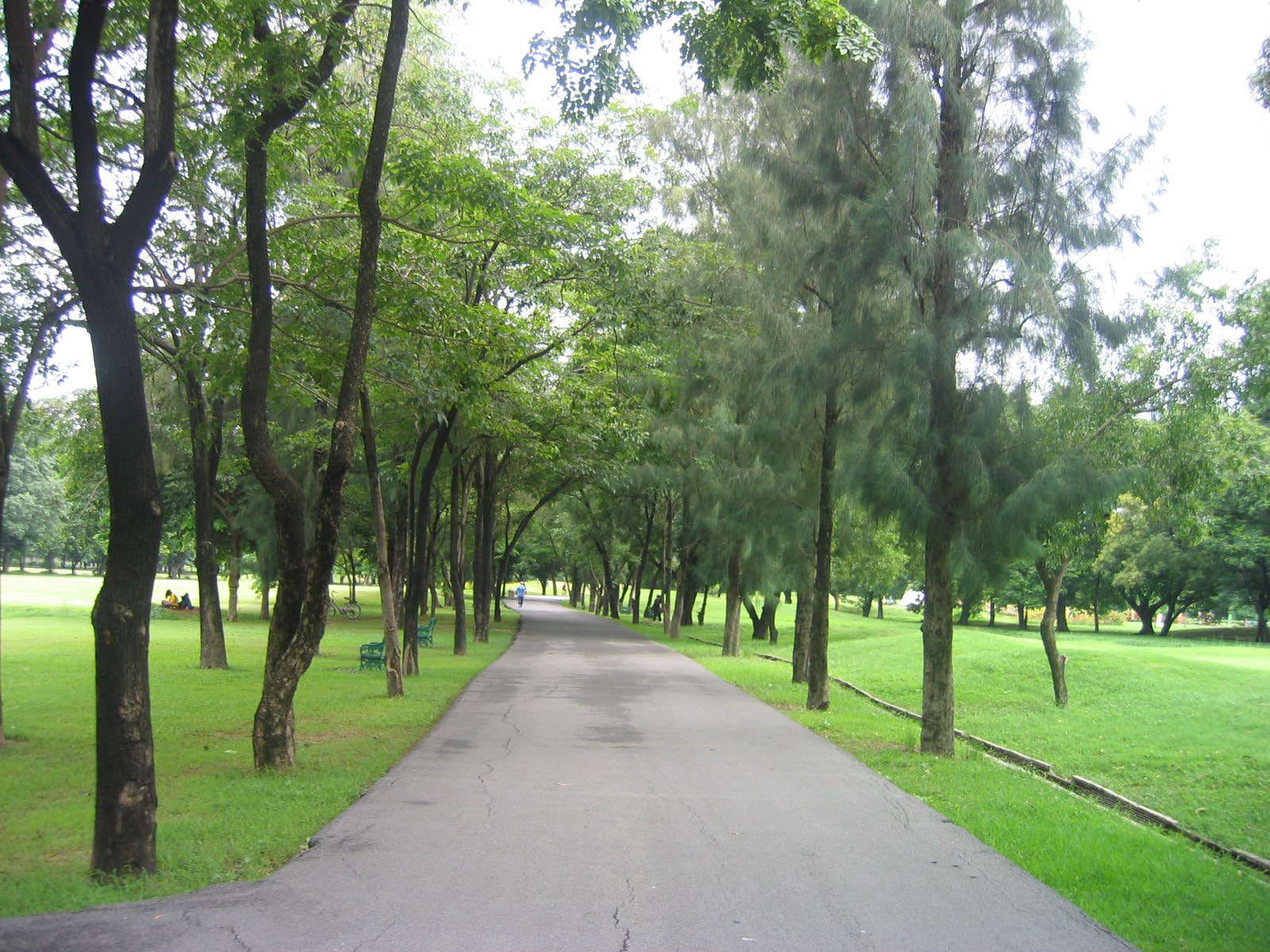 Park - - Rod fai park