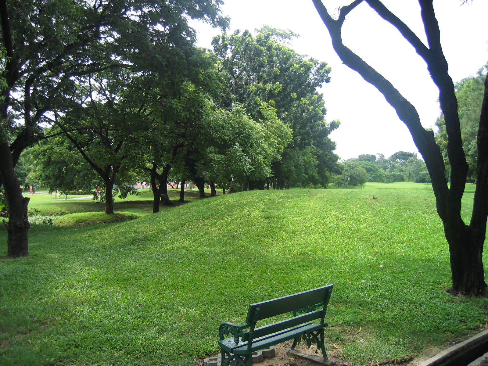 Park - - Rod fai park