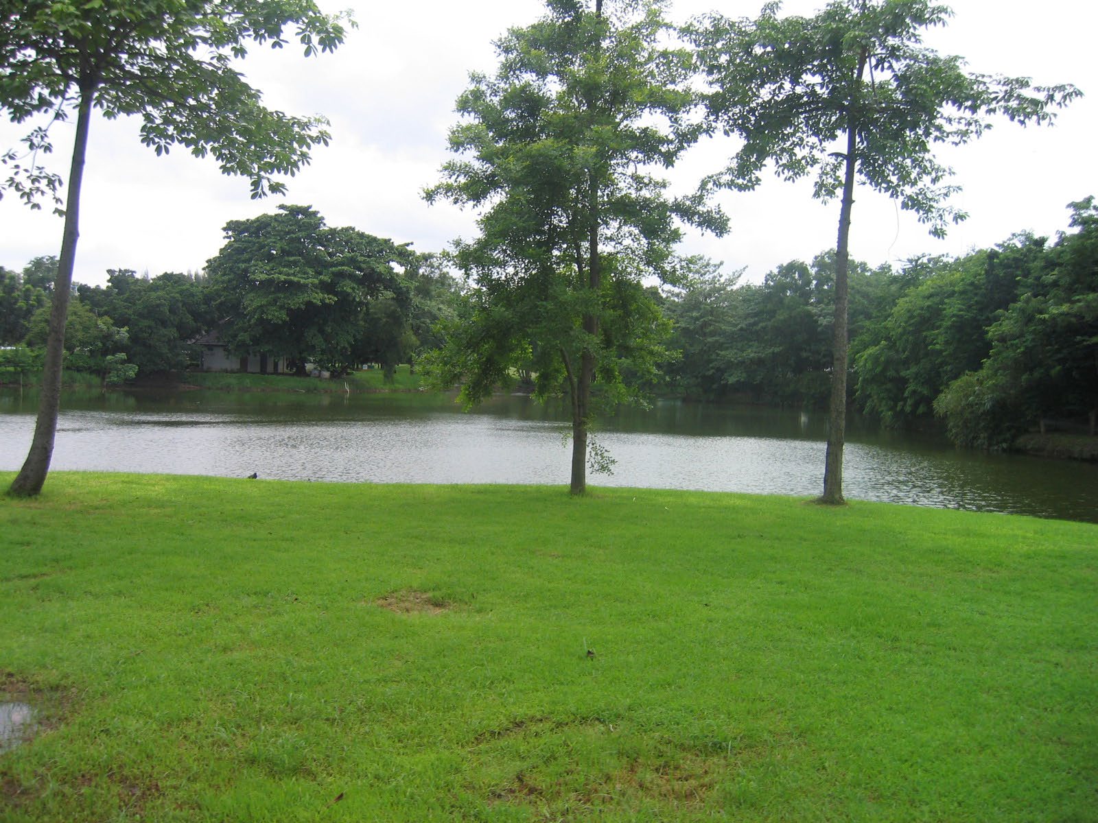 Park - - Rod fai park