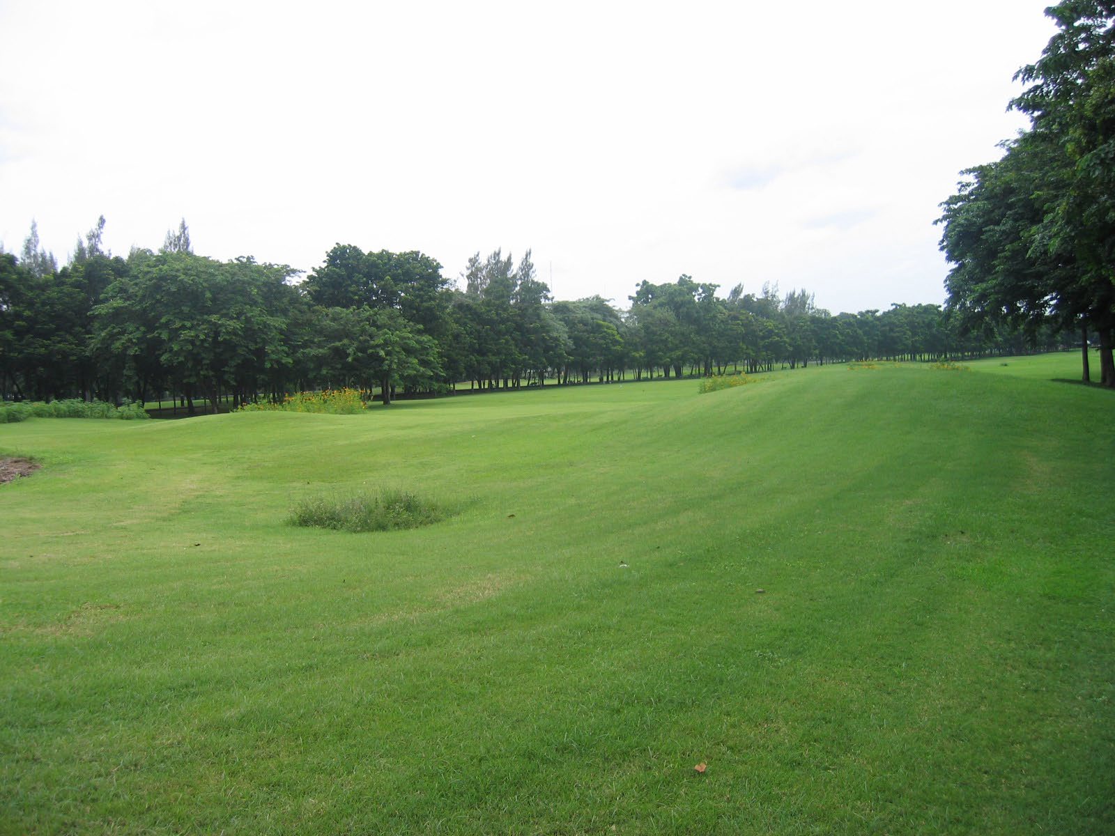 Park - - Rod fai park