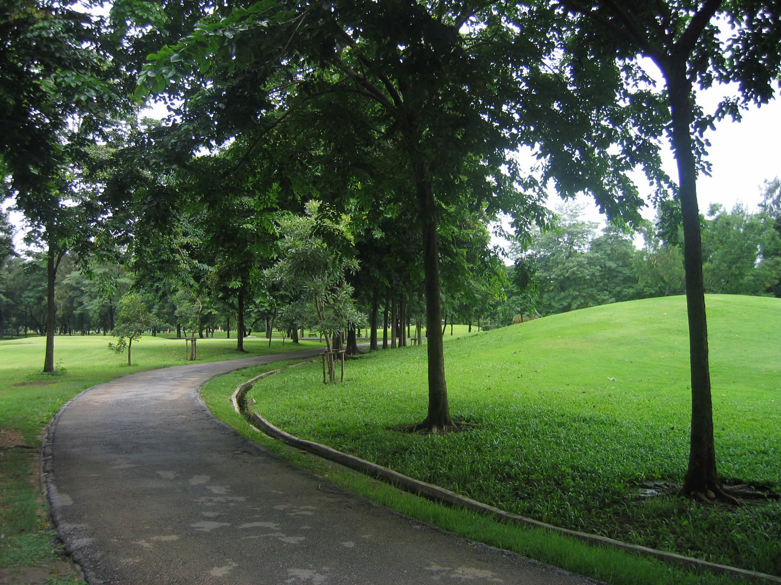 Park - - Rod fai park