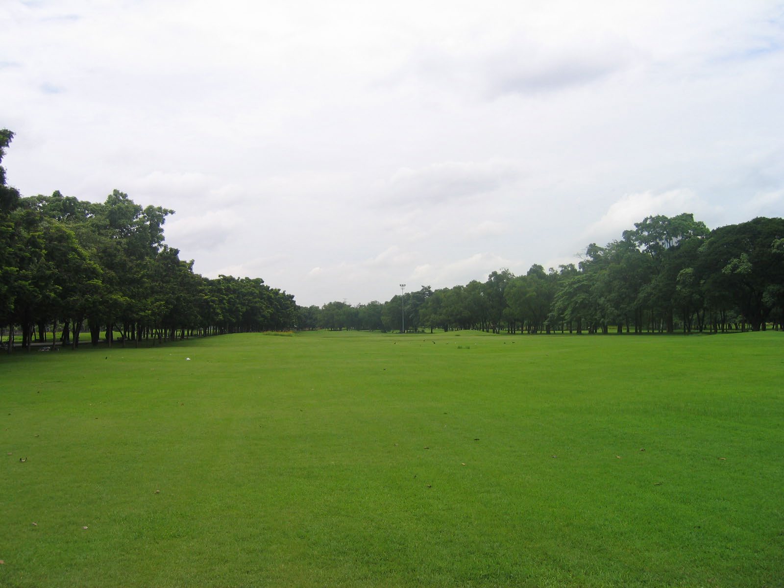 Park - - Rod fai park