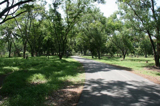 Park - Bhuddamonton