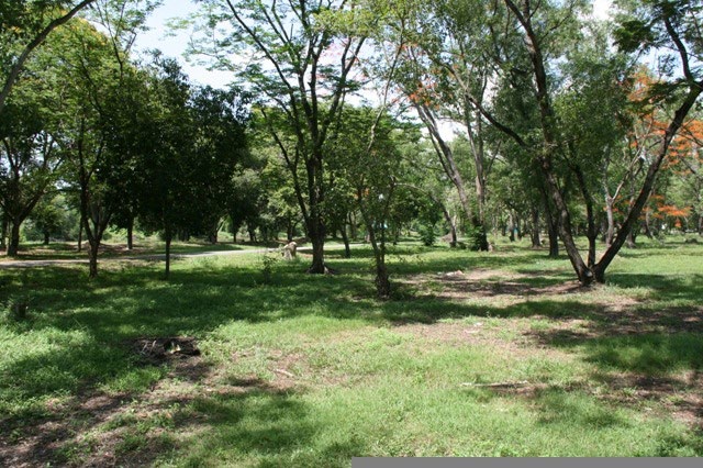 Park - Bhuddamonton