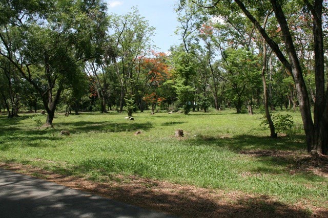 Park - Bhuddamonton