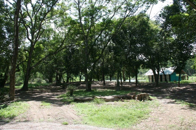 Park - Bhuddamonton
