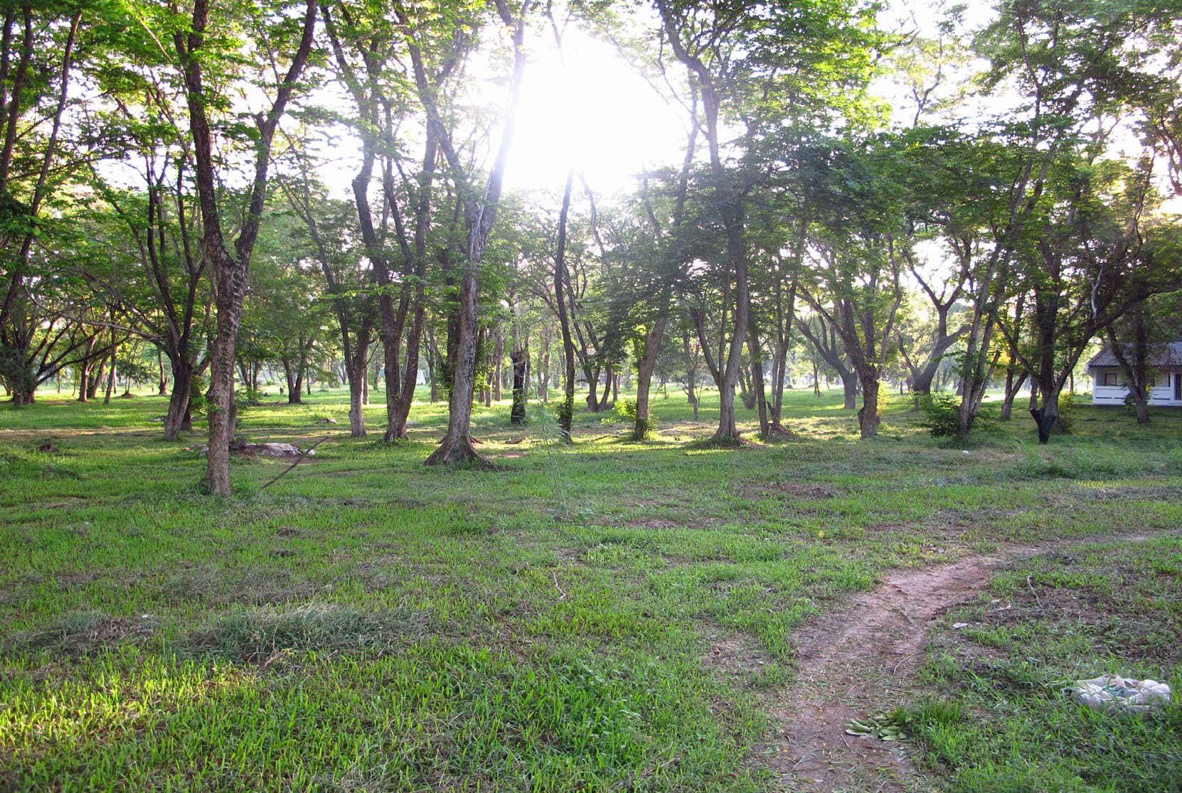 Park - Bhuddamonton
