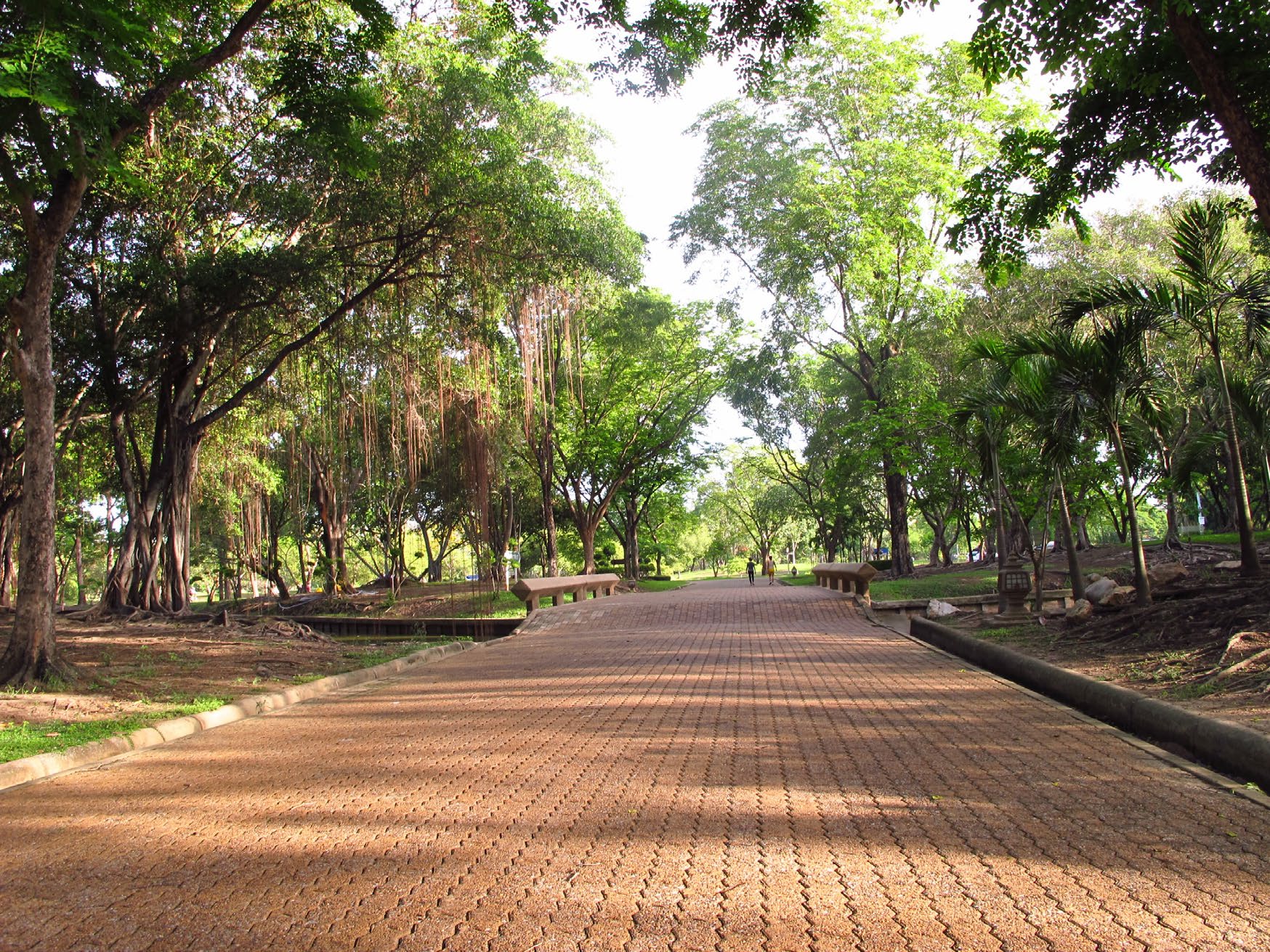 Park - Bhuddamonton