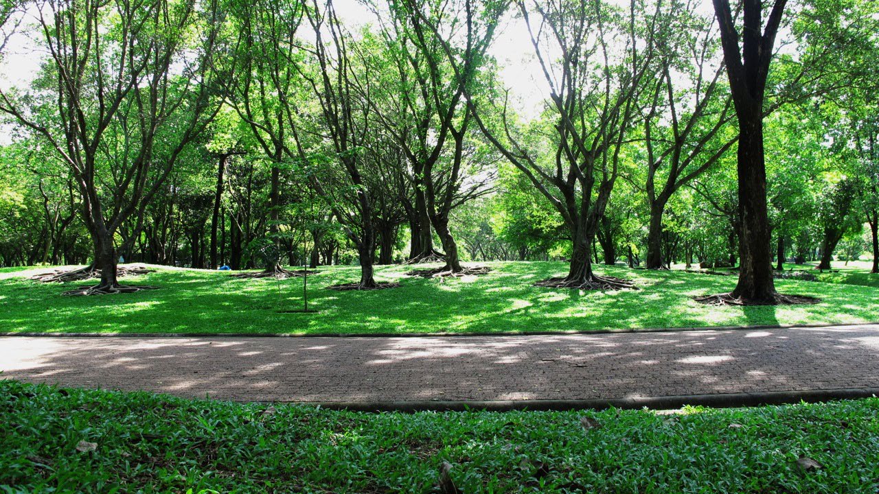 Park - Bhuddamonton