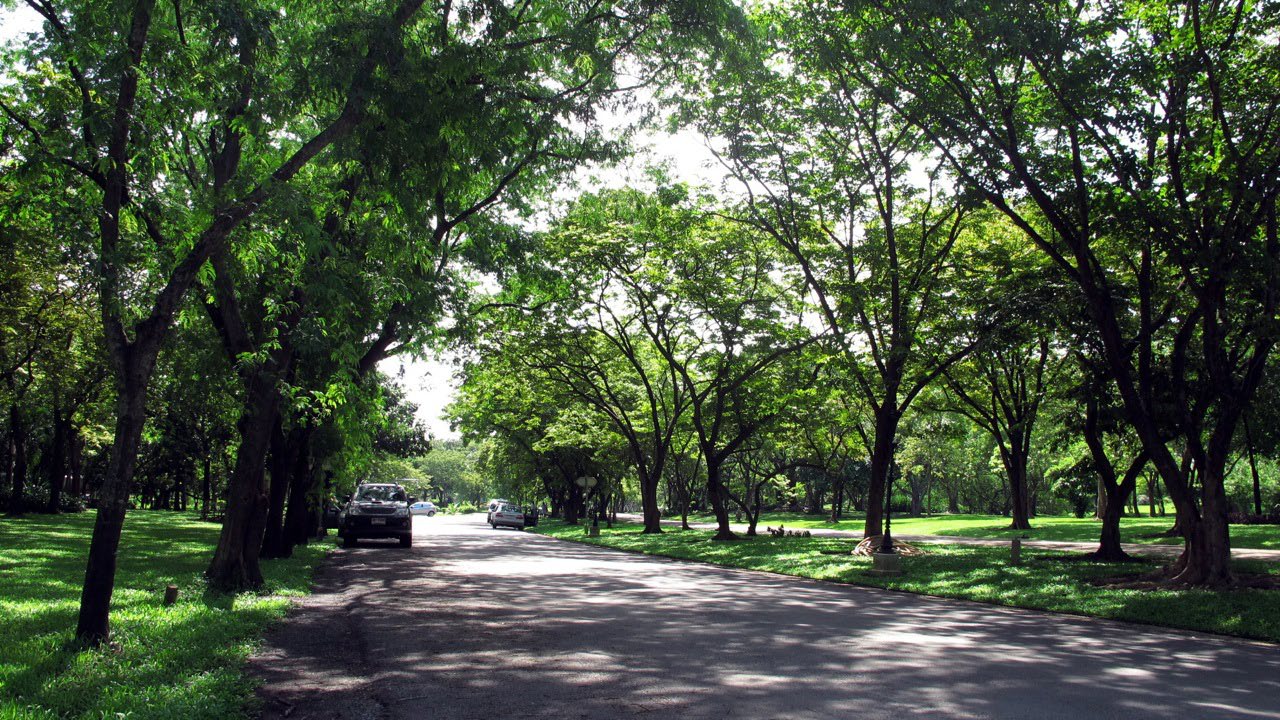 Park - Bhuddamonton