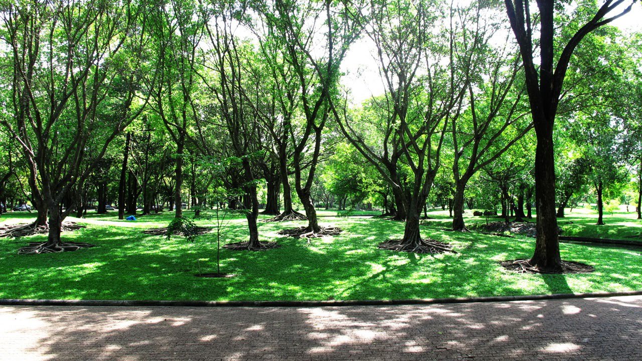 Park - Bhuddamonton